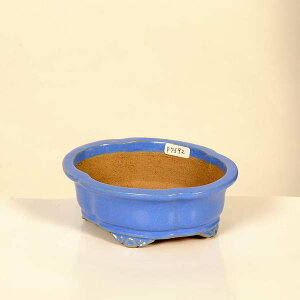 ㏬Fď@ȉ~bRyiz*shibakatu@12.2cm