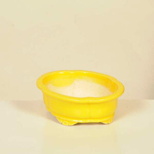 ㏬Fď@ȉ~bRyiz*shibakatu@13.2cm