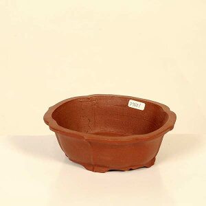 ㏬Fď@ȉ~bRyiz*shibakatu@14.5cm