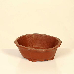 ㏬Fď@ȉ~bRyiz*shibakatu@14.3cm