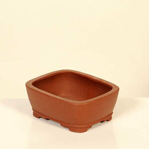 ㏬Fď@yiz*shibakatu@12.8cm