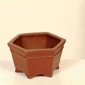 ㏬Fď@Zpyiz*shibakatu@13.0cm