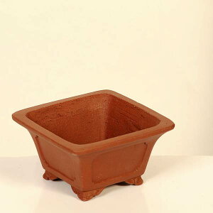 ㏬Fď@\yiz*shibakatu@11.4cm