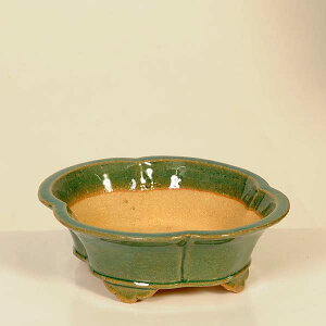 ㏬Fď@ȉ~\yiz*shibakatu@17.6cm