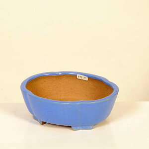 ㏬Fď@ȉ~bRyiz*shibakatu@16.1cm