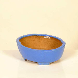 ㏬Fď@ȉ~bRyiz*shibakatu@15.9cm