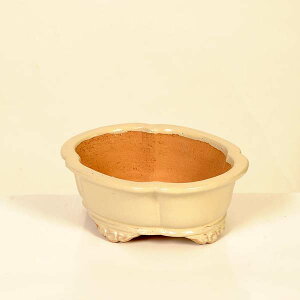 ㏬Fď@ȉ~bRyiz*shibakatu@16.3cm