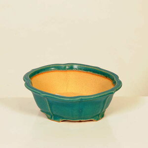 ㏬Fď@ȉ~bRyiz*shibakatu@17.3cm