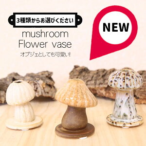 G u Ԋ ԕrFt[x[X LmR mushroom*Iׂ܂ ̂ 