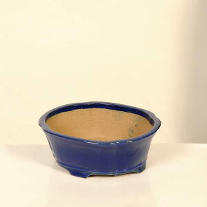 ㏬Fď@ȉ~bRyiz*shibakatu@18.8cm