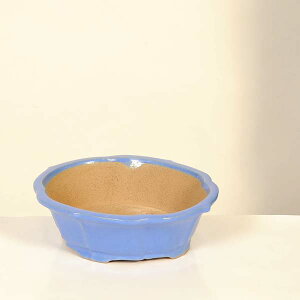 ㏬Fď@ȉ~bRyiz*shibakatu@19.5cm