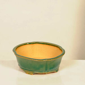 ㏬Fď@ȉ~bRyiz*shibakatu@18.8cm