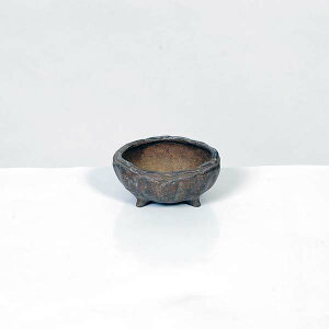 ㏬F(イjt۔@7cmyiz*Ryuuen