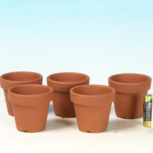 FYfĂ@鉷@2[@5Zbg*