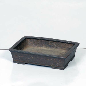 ㏬F(イj蔫@15cmyiz*Ryuuen