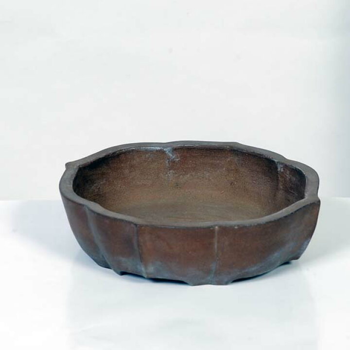 楽天市場】現代小鉢：流苑(りゅうえん）剣木瓜鉢 18.2cm【現品 
