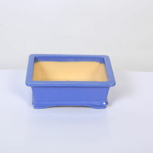 ㏬FR@ORyiz*shouzan@12.9cm