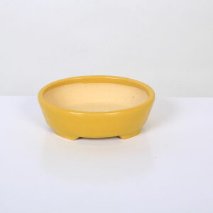 ㏬FR@ȉ~yiz*shouzan@11.7cm