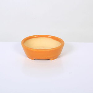 ㏬FR@ȉ~yiz*shouzan@8.8cm