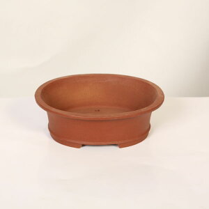 ㏬Fď@ȉ~\yiz*shibakatu@18.6cm