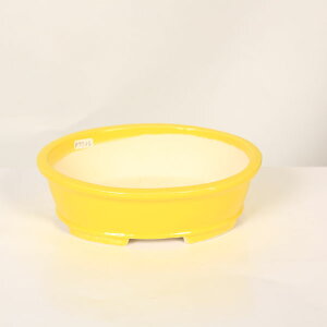 ㏬Fď@ȉ~yiz*shibakatu@18.8cm