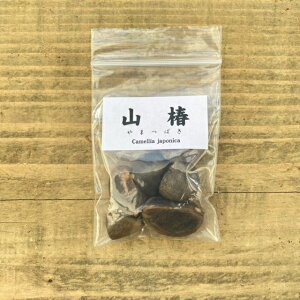 Vb~́Fq@R*i܂΂/}coLj