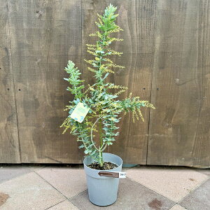 c@ϗtAFAJVA@~U*tAJVA