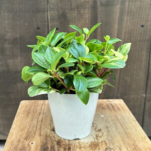 ϗtAFyy~A@Ox*3.5v|bg