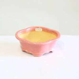 ㏬FR@tbRyiz*shouzan@13.1cm