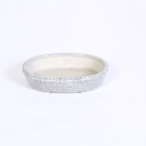 ㏬F@ȉ~󔫁@10.2cm*seika