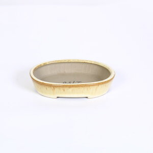 ㏬F@ȉ~󔫁@10.2cm*seika