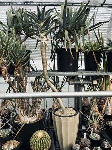 AFAG@sV[*30cm@iIi@XɂĂn@͂ł܂