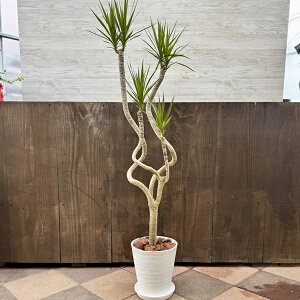 ϗtAFhZi RVl *8ZA[g Mt o[N`bv ^}