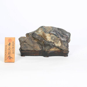 ΁FeԐ΁@uԋeʍvyiz*ށ@LbJZL