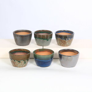 鉢:瀬戸焼切立丸鉢 2.5号*資材