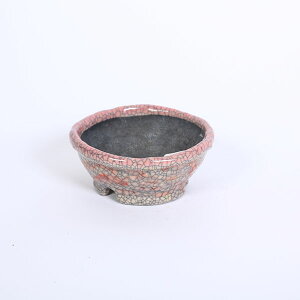 ㏬FzOR(Ă)@۔@12.0cmyiz*bunzan