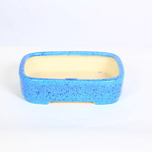 ㏬Fď@pؗyiz*shibakatu@18.2cm