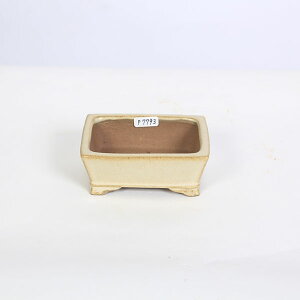 ㏬Fď@pؗyiz*shibakatu@10.0cm