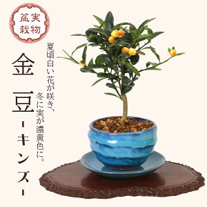 ~j~́F񂸁ij*(ڗFό` 󂯎Mt)LY蔫A픫a_Mtgv[gɂbonsai
