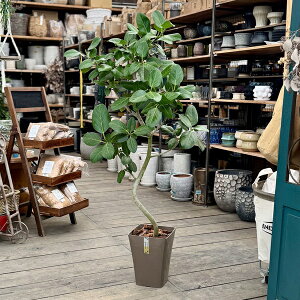  ϗtAFtBJX xKVX*xKS̖ 7v|bg o[N`bv ^}