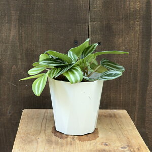 @ϗtAFyy~A@xVtFeB*3.5v|bg