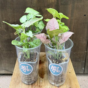 ϗtA@Iׂ4FVSj[*VSjE@lK~G