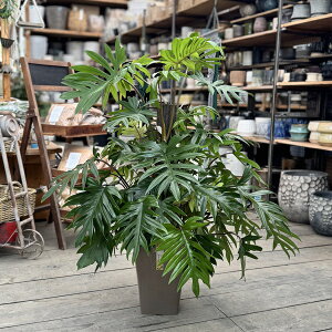 ϗtAFtBfh@^S*7 ^}g i͂