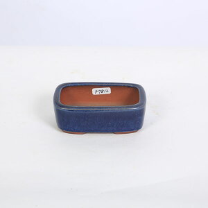 튊ƁFpiࠎRj@ؗ@9.6cmyiz*eimei