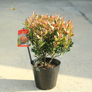 ؁@A؁F␫xjJi`i`Rjgbhr5@*gJi