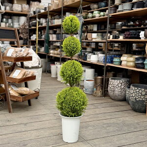  ϗtAFS[hNXg EB} gsA[*Rjt@[ || 1 7v|bg