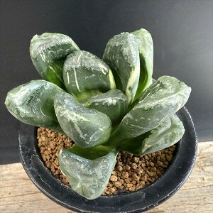 AFnI`A@hyb. ǋ*9cm iIi