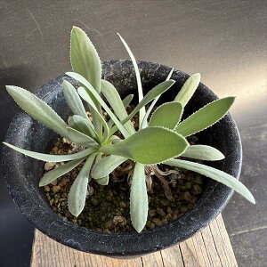 R[fbNXFIgi@gT*t9cm@ԏ@iIi