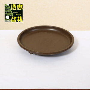 �~�͎󂯎M�F���t�ی^�@6.5��*����