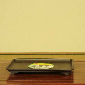 �~�͎󂯎M�F���p�^�@9��*����